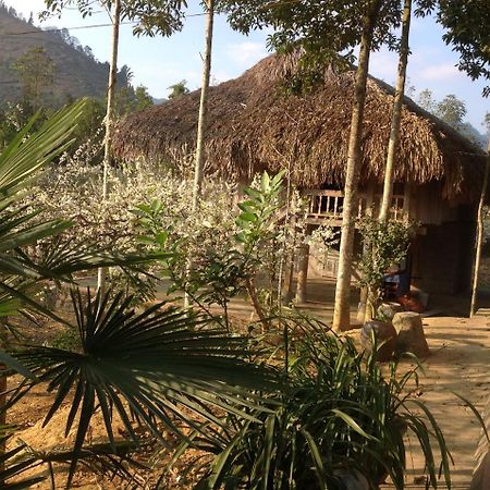 Sa House Bac Ha Apartman Kültér fotó