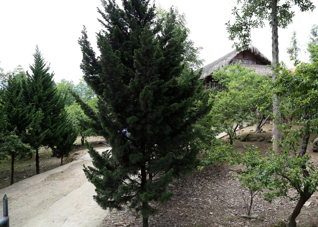 Sa House Bac Ha Apartman Kültér fotó