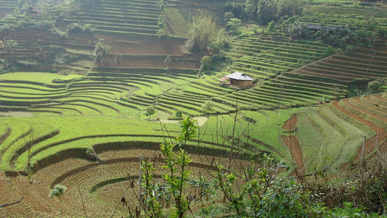 Sa House Bac Ha Apartman Kültér fotó