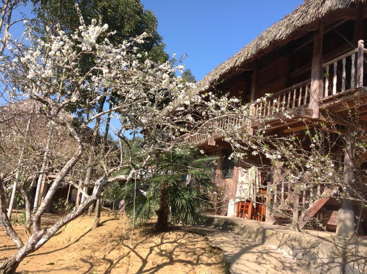 Sa House Bac Ha Apartman Kültér fotó