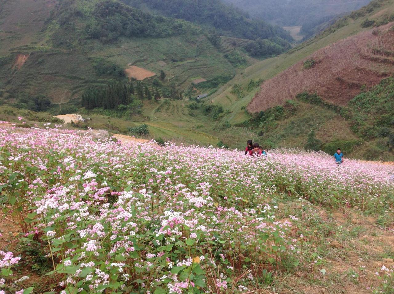 Sa House Bac Ha Apartman Kültér fotó