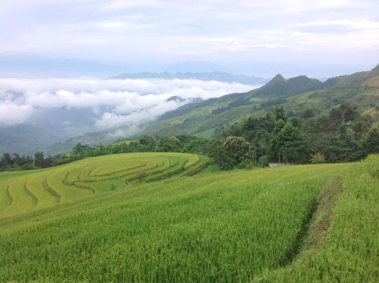 Sa House Bac Ha Apartman Kültér fotó