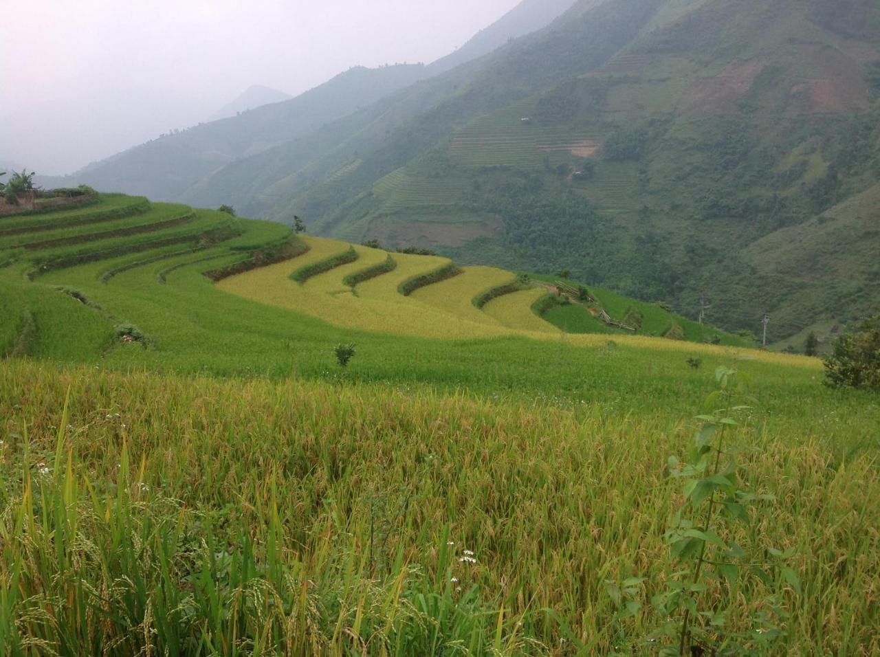 Sa House Bac Ha Apartman Kültér fotó