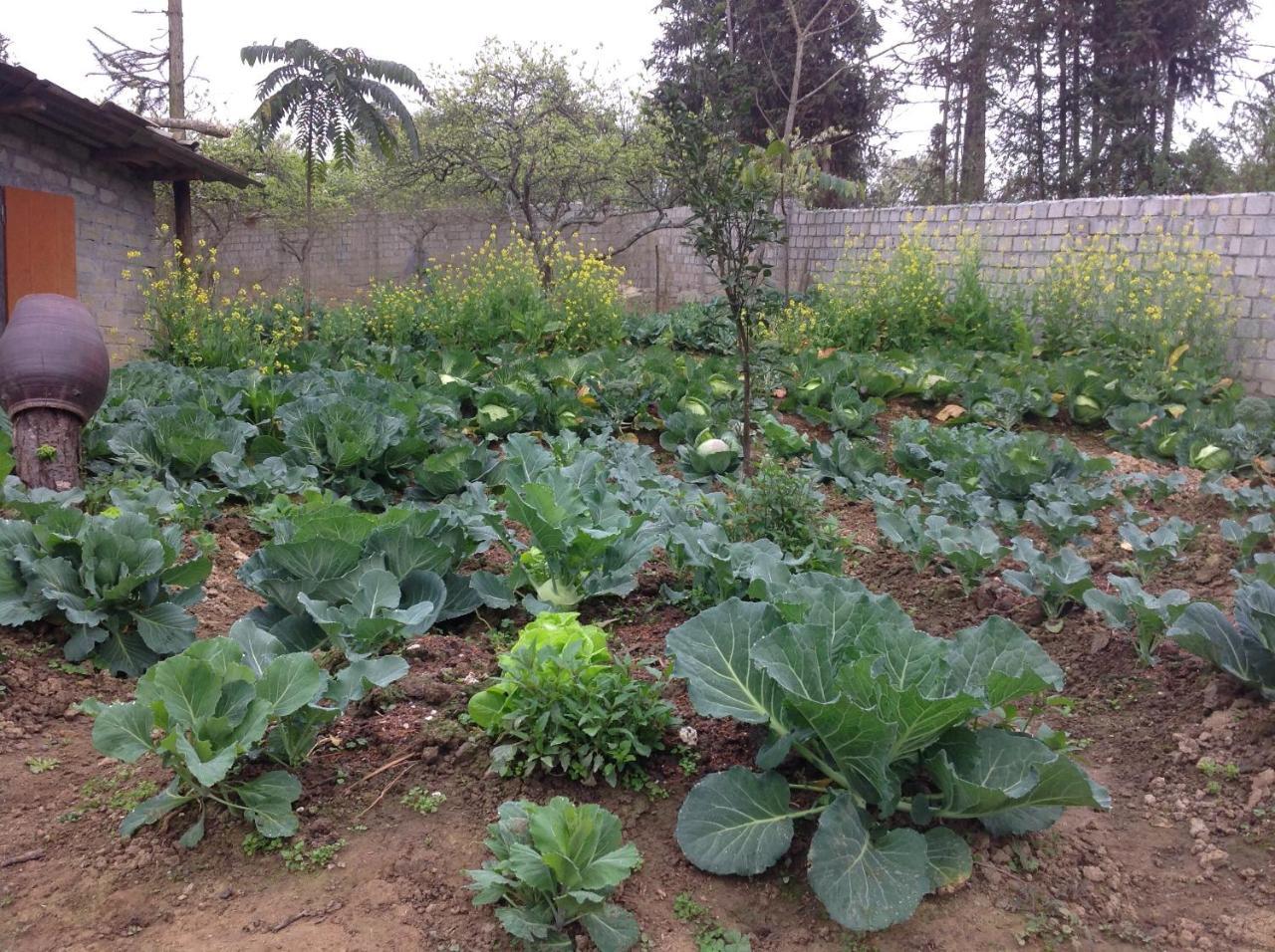 Sa House Bac Ha Apartman Kültér fotó