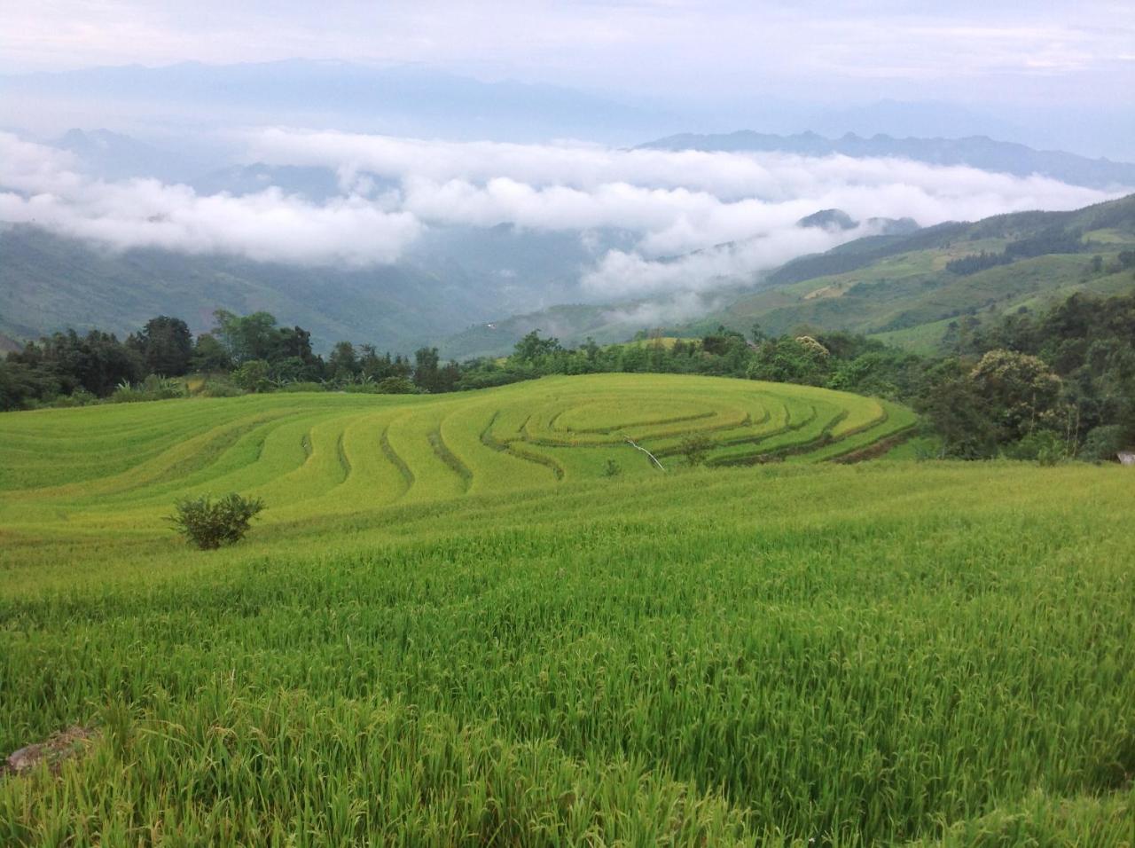 Sa House Bac Ha Apartman Kültér fotó