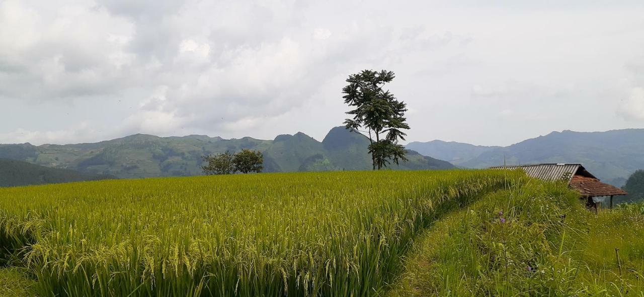 Sa House Bac Ha Apartman Kültér fotó