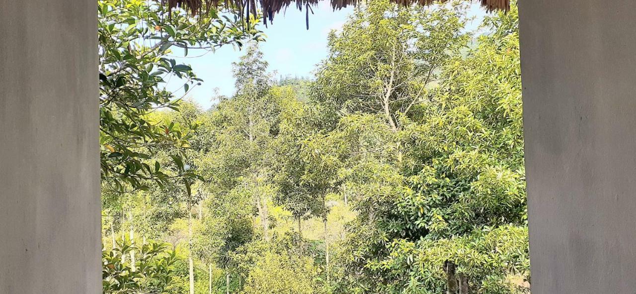 Sa House Bac Ha Apartman Kültér fotó